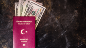 turkish citizenship program