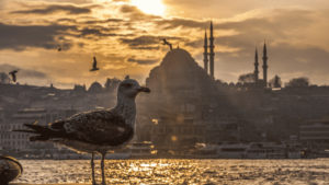 Living as an Expat in Istanbul