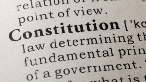 Constitutional Principles 