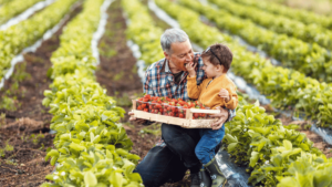 Sustainable and Organic Farming in Türkiye
